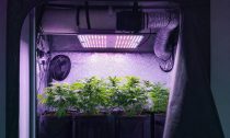 Focos LED de cultivo: guía para crear una zona de cultivo de marihuana eficiente y discreta