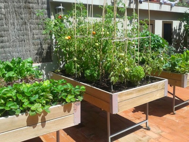 Mesas de cultivo urbano
